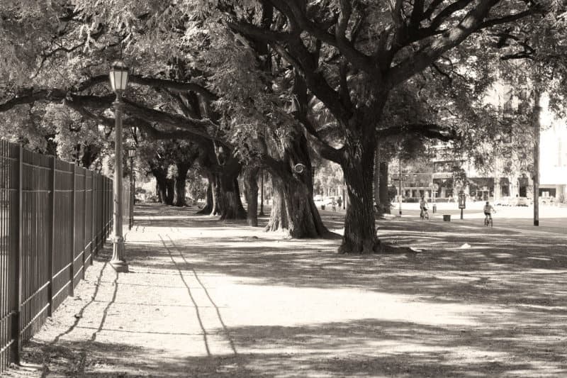 Avenida Libertador Buenos Aires