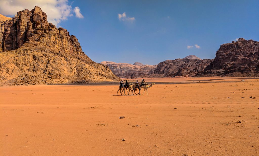 Camels in Wadi Rum, Jordan