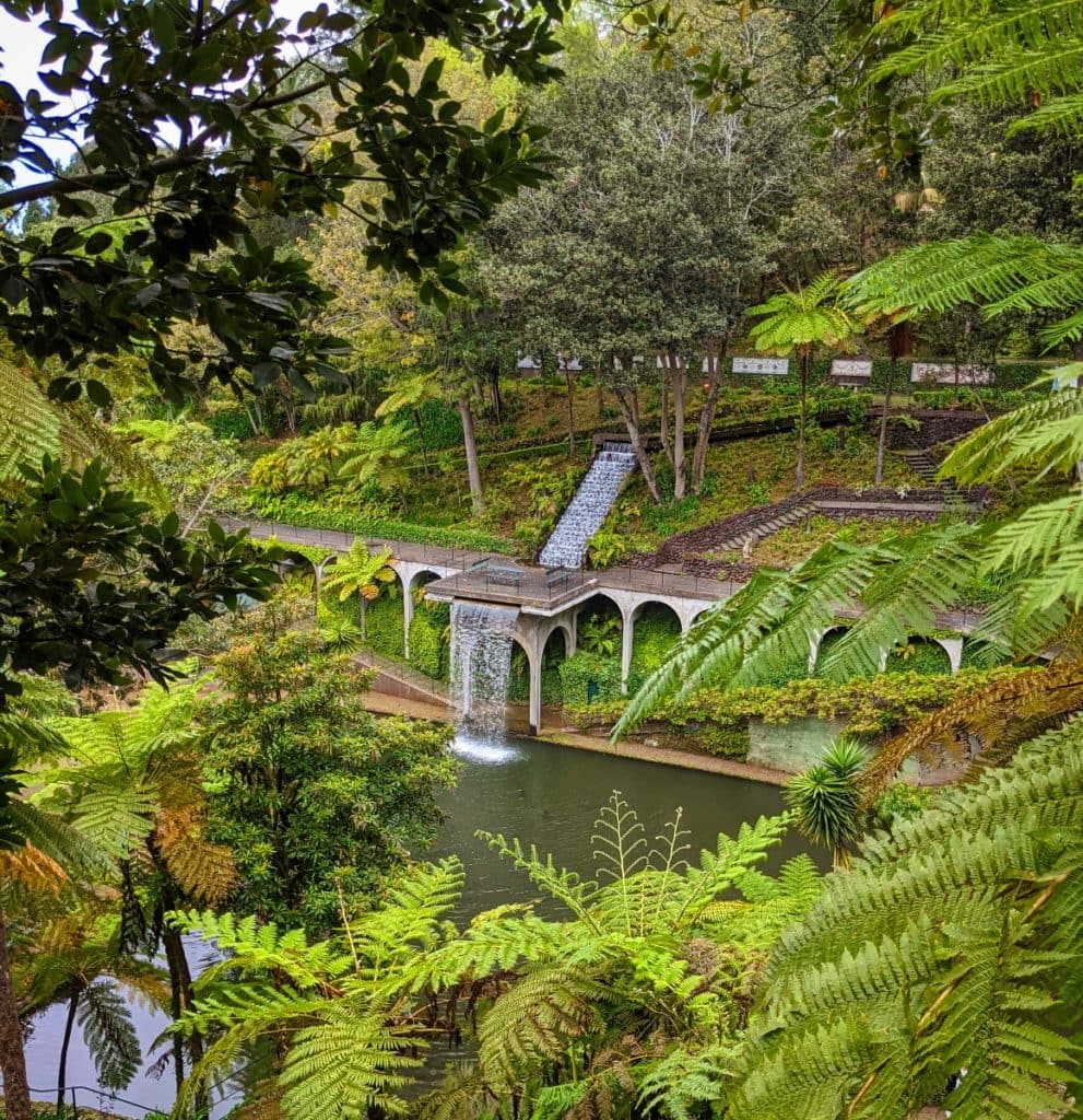 monte botanical gardens